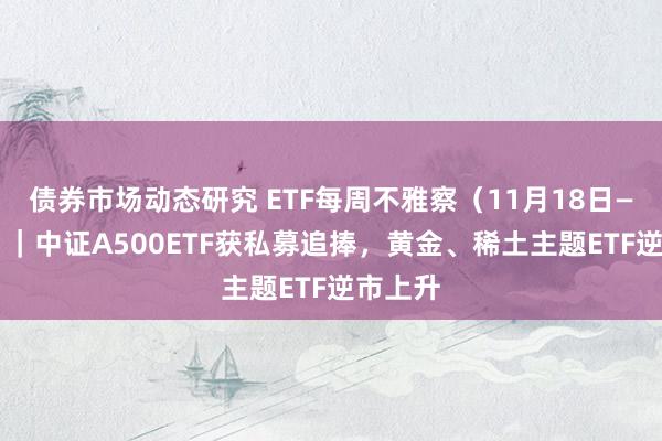 债券市场动态研究 ETF每周不雅察（11月18日—22日）｜中证A500ETF获私募追捧，黄金、稀土主题ETF逆市上升