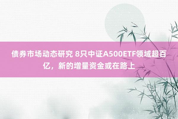 债券市场动态研究 8只中证A500ETF领域超百亿，新的增量资金或在路上