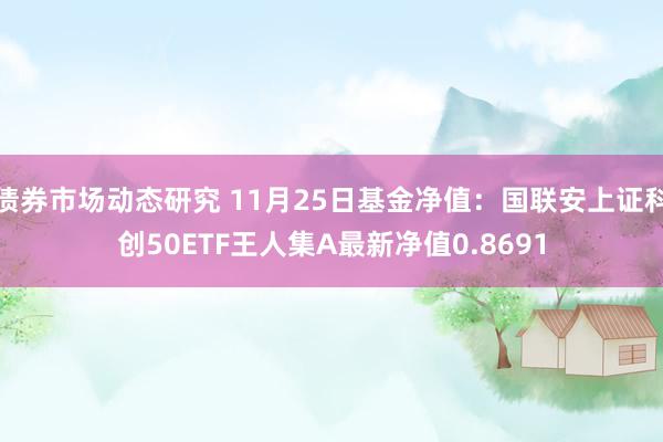 债券市场动态研究 11月25日基金净值：国联安上证科创50ETF王人集A最新净值0.8691