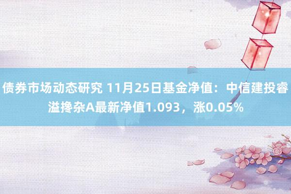 债券市场动态研究 11月25日基金净值：中信建投睿溢搀杂A最新净值1.093，涨0.05%