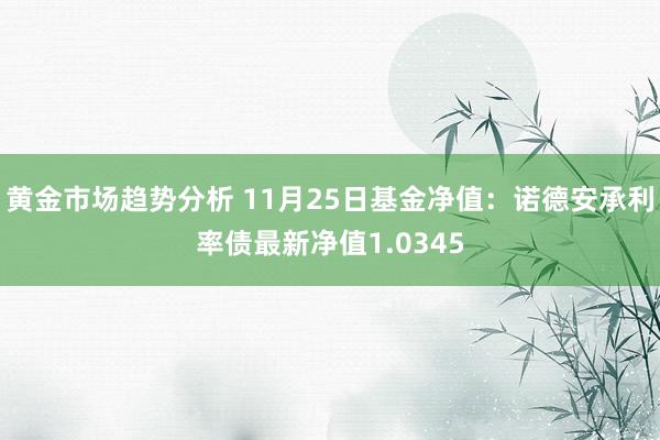 黄金市场趋势分析 11月25日基金净值：诺德安承利率债最新净值1.0345