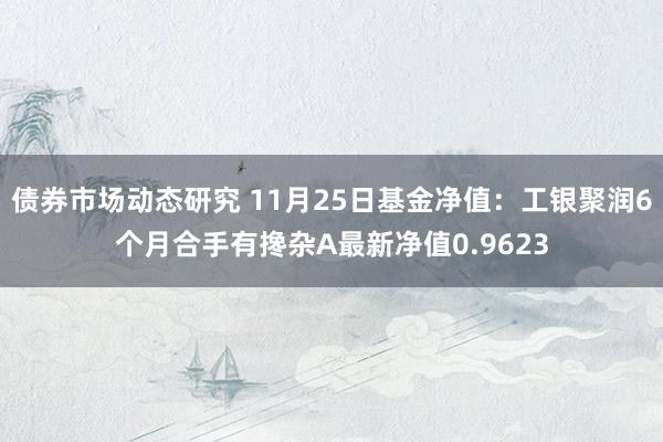 债券市场动态研究 11月25日基金净值：工银聚润6个月合手有搀杂A最新净值0.9623