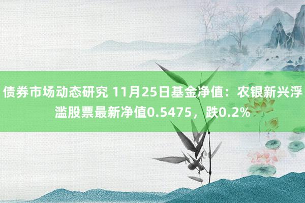 债券市场动态研究 11月25日基金净值：农银新兴浮滥股票最新净值0.5475，跌0.2%