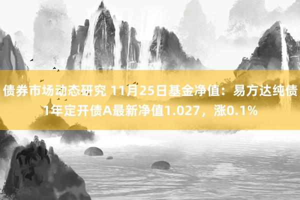 债券市场动态研究 11月25日基金净值：易方达纯债1年定开债A最新净值1.027，涨0.1%