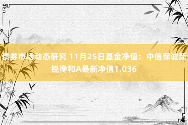 债券市场动态研究 11月25日基金净值：中信保诚新锐搀和A最新净值1.036