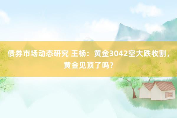 债券市场动态研究 王杨：黄金3042空大跌收割，黄金见顶了吗？