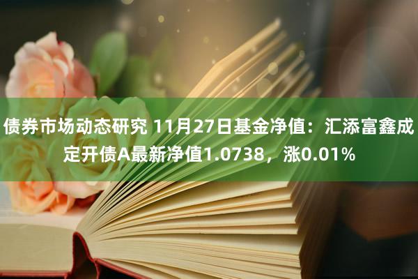 债券市场动态研究 11月27日基金净值：汇添富鑫成定开债A最新净值1.0738，涨0.01%